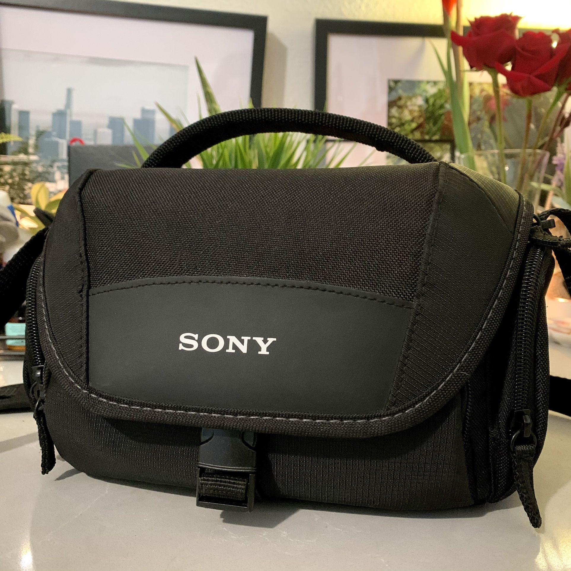 Sony LCSU21 Camera Carrying Case - Black
