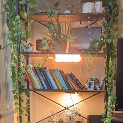 6 Tier Adjustable Plant Rack/Book shelf
