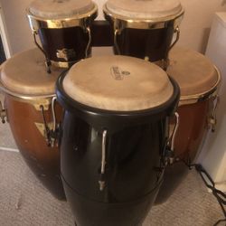 CONGAS !!! CONGAS !!!  CONGAS !! 