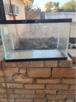 glass aquarium