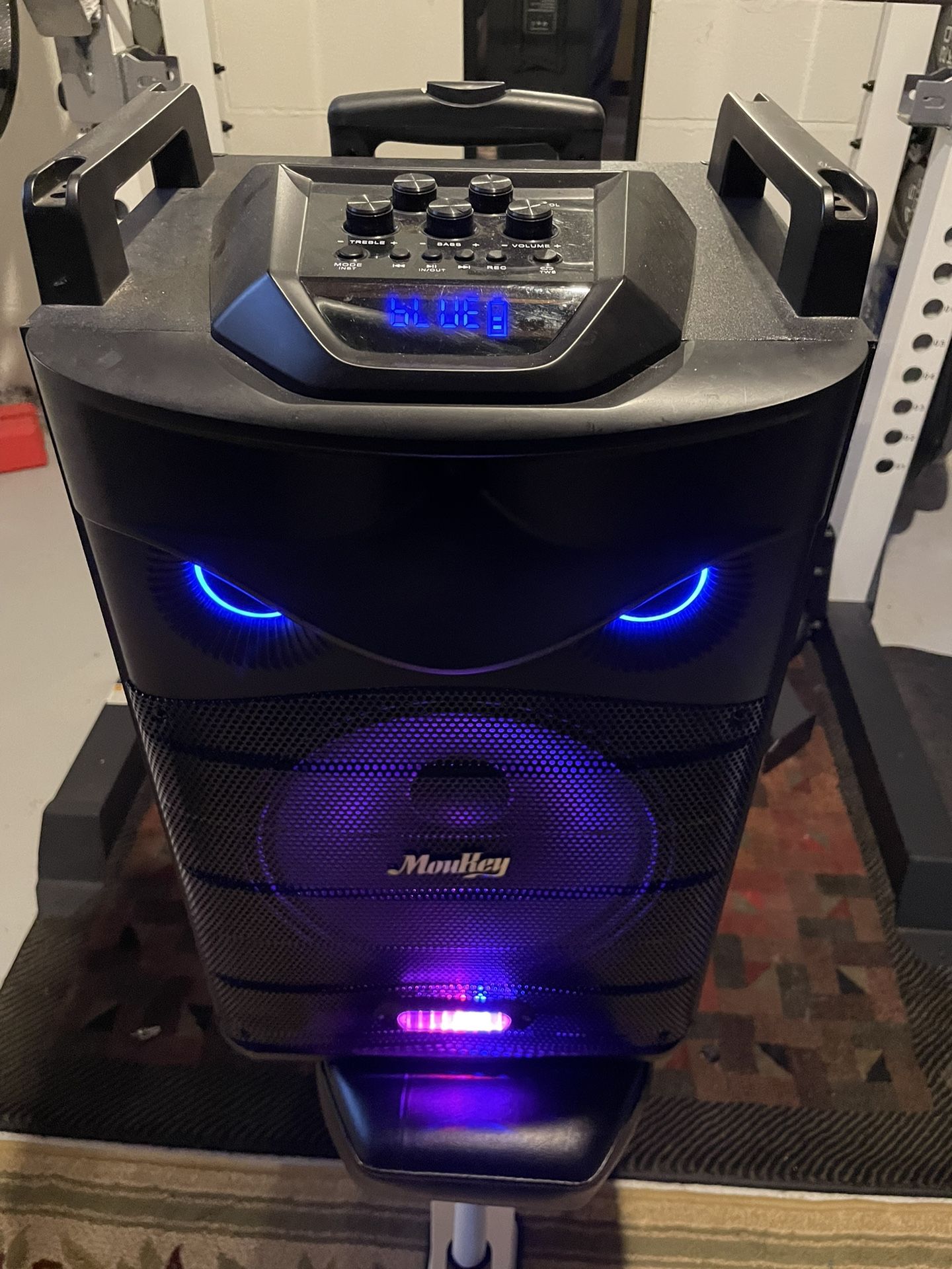 Large Speaker