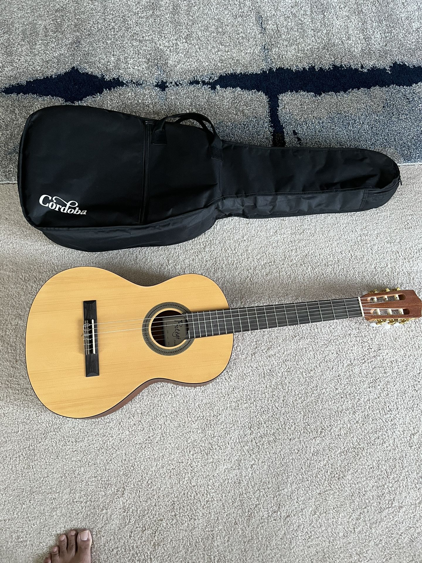 Acoustic Guitar