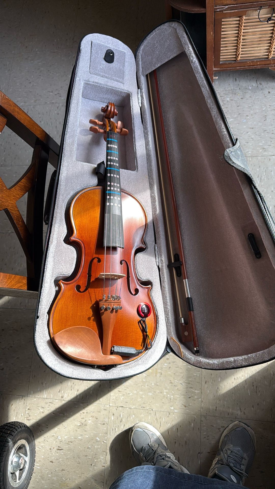 Violin Acuático Y Eléctrico