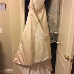 Wedding dress/flower girl dress/bridesmaid dresses size 14 Cream n Tan