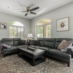 Grey Leather Couches 