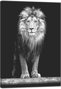 Brand new, Lion Pictures Wall Art Portrait of Lion in The Dark Stretched Wood Frame Black and White Animal Canvas Art for Living Room Office 28x40