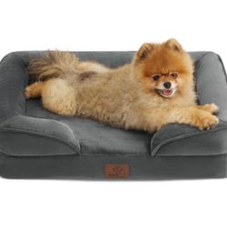 Small Orthopedic Dog Bed