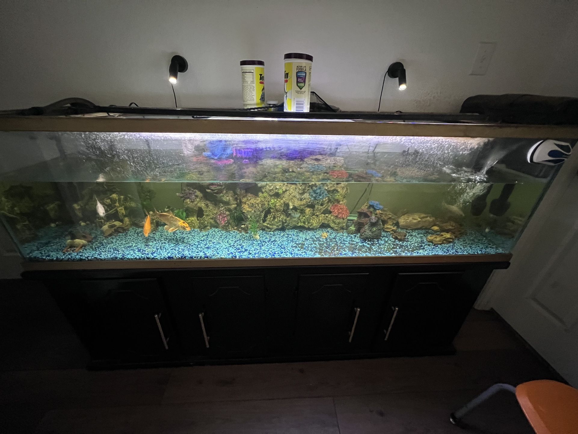 120 Or 220 Gallons Large Fish Tank “MOVING “ Need It Gone