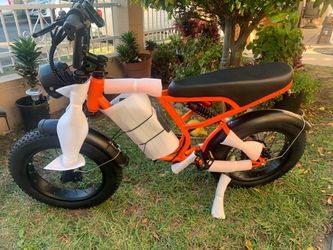 NEW BLUVALL ELECTRIC BIKE