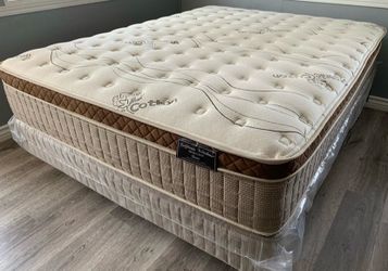 Full size organic cloud edition EuropillowTop 12in MatresAndboxspring