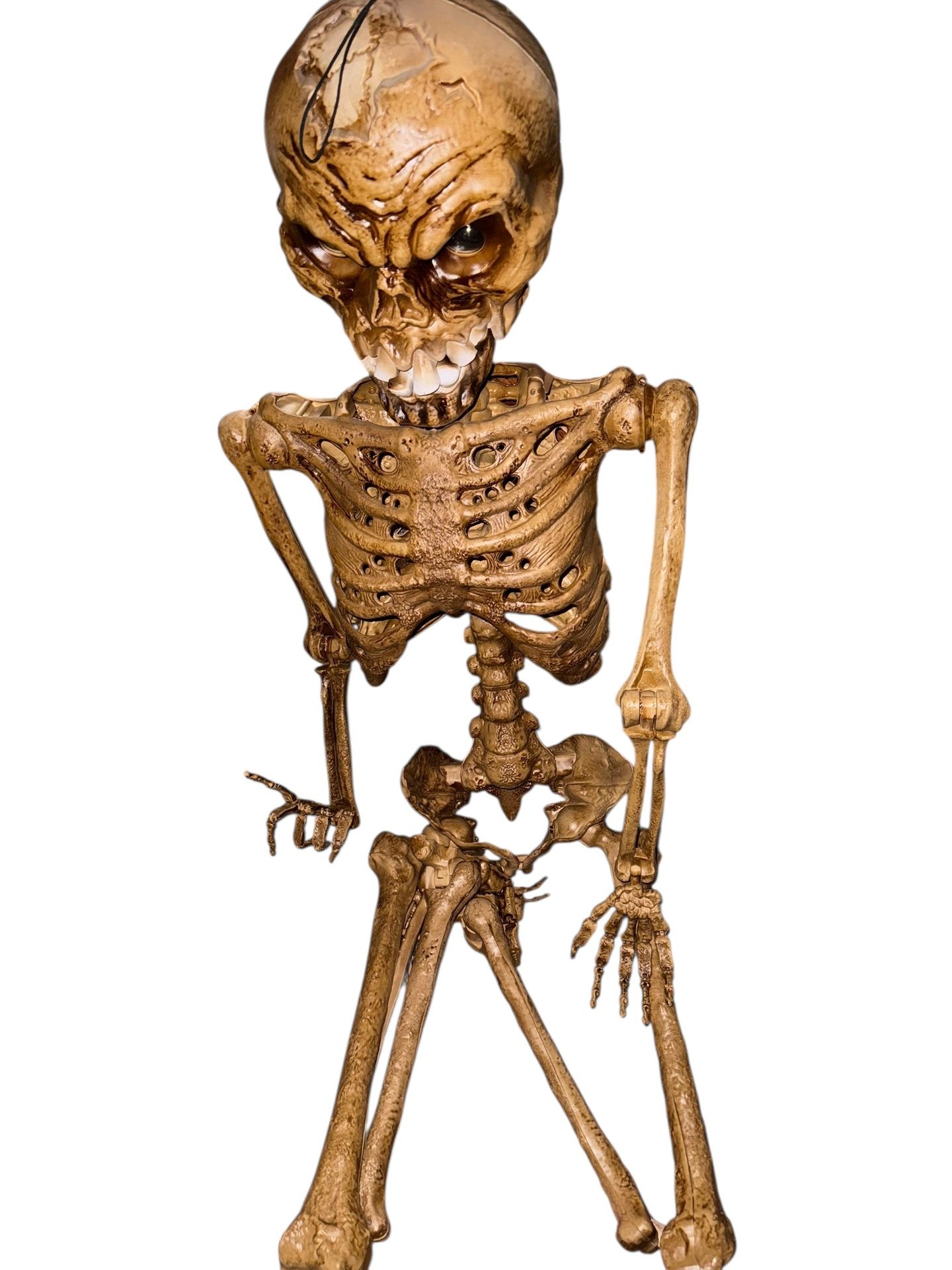 Home Accents Holiday 6ft Grave & Bones Poseable Skeleton with LifeEyes – Used Once, Open Box