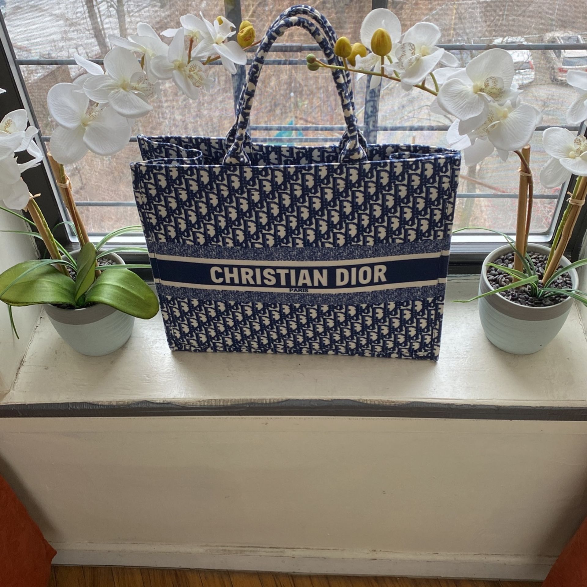 Christian Dior  Tote Bag