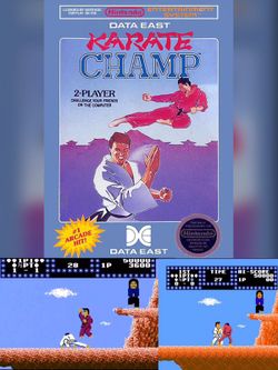 Karate Champ