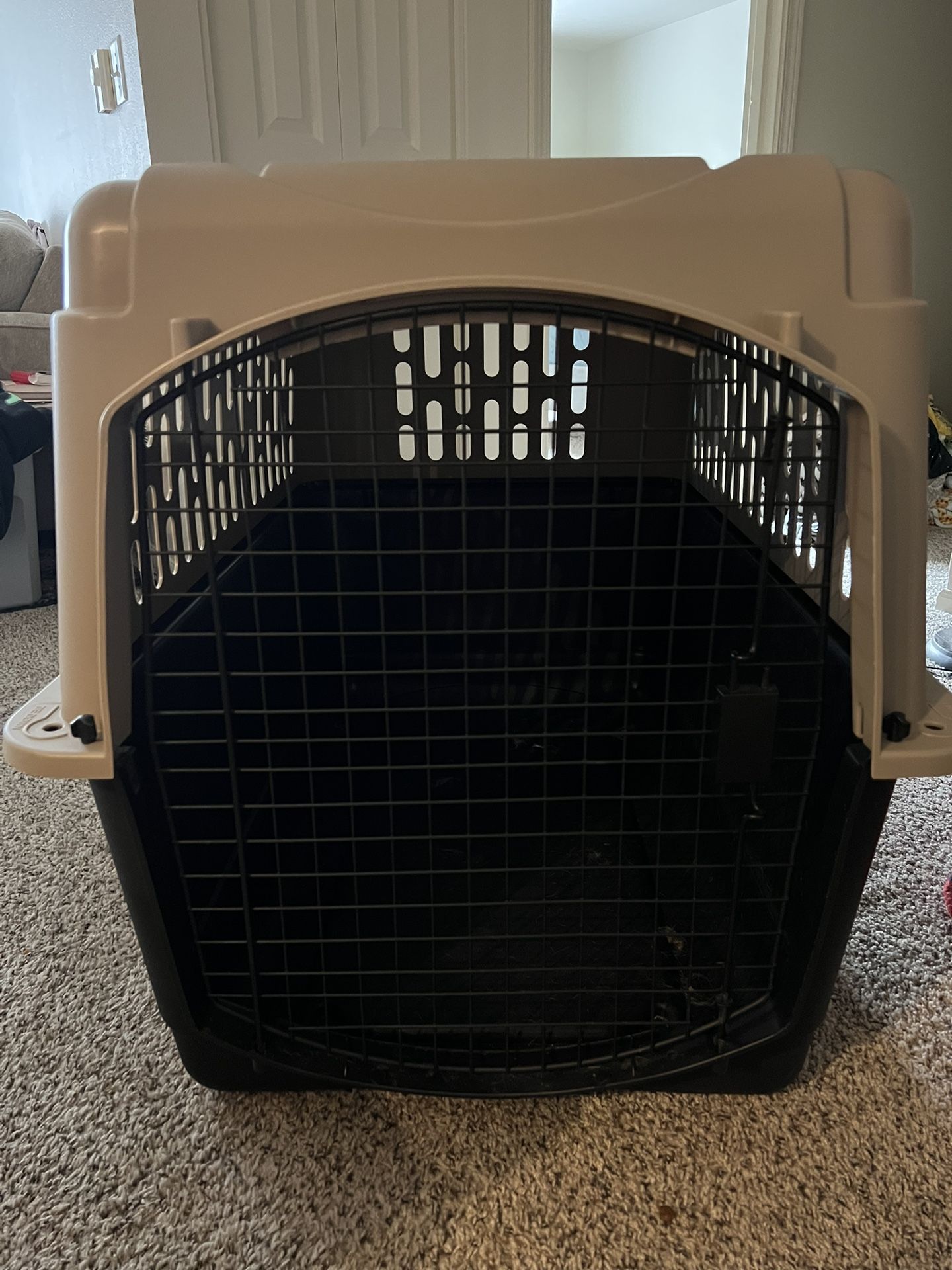 Large Dog Kennel