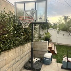 Life Time Basketball Hoop 