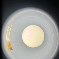 Medium Size Black Dome Lamp For Reptiles