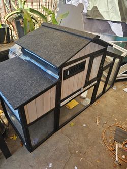 Large Chicken Coop