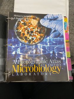 A photographic atlas for the microbiology laboratory