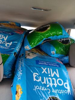 Potting mix
