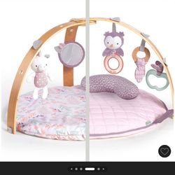 Activity Gym For Baby Girl 