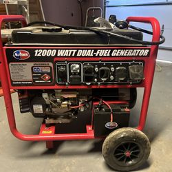 All Power 12000 Duel Fuel Generator