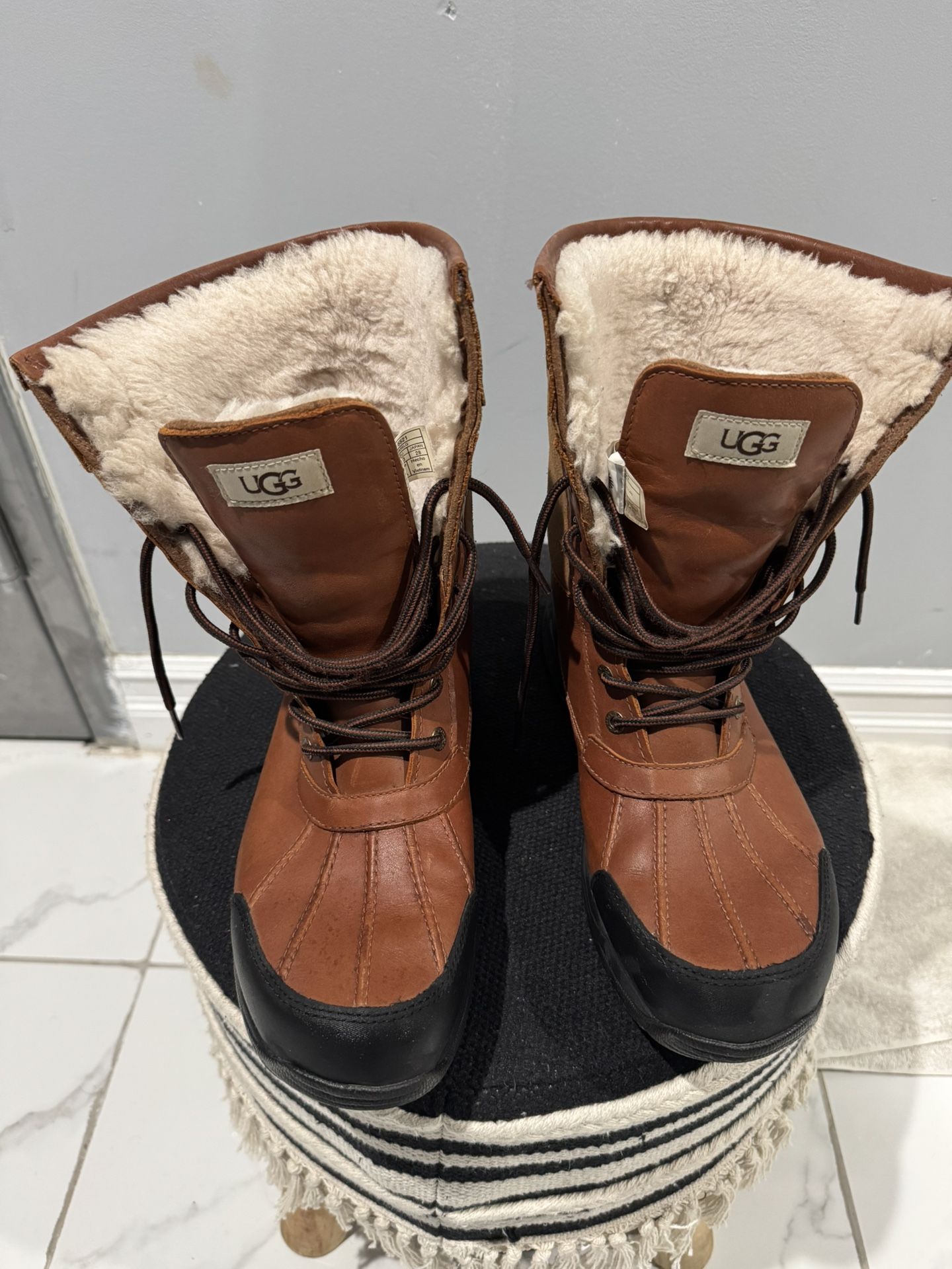 Ugg Boots Men