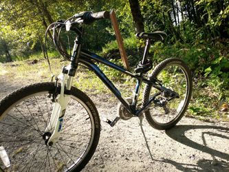Trek Mt series 220 mountain bike