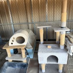 Cat Condo