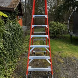 Werner Platform Ladder
