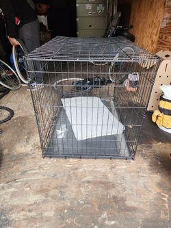 Dog Kennel