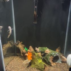 Fish Tank 45 gallon With Stand