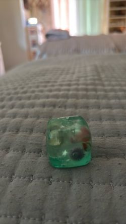Marine life mini squishy