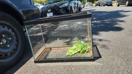 29 gallon tank