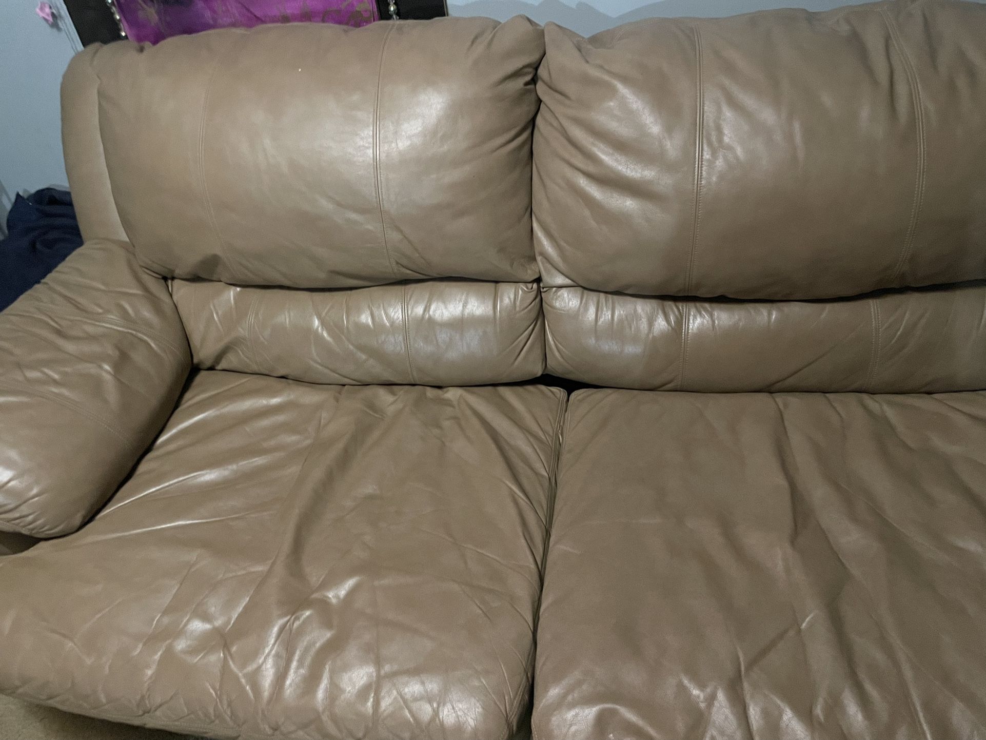 Couch Only Pull Out Section.
