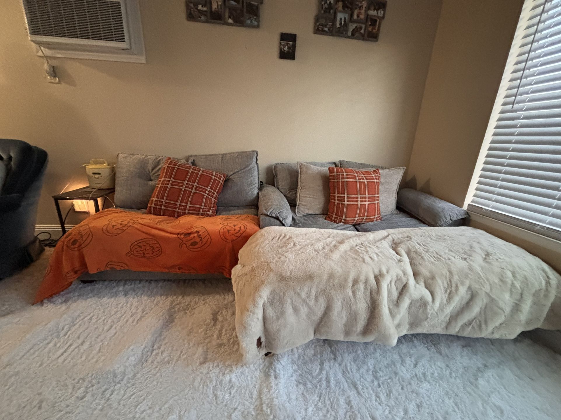 U Shaped Couches