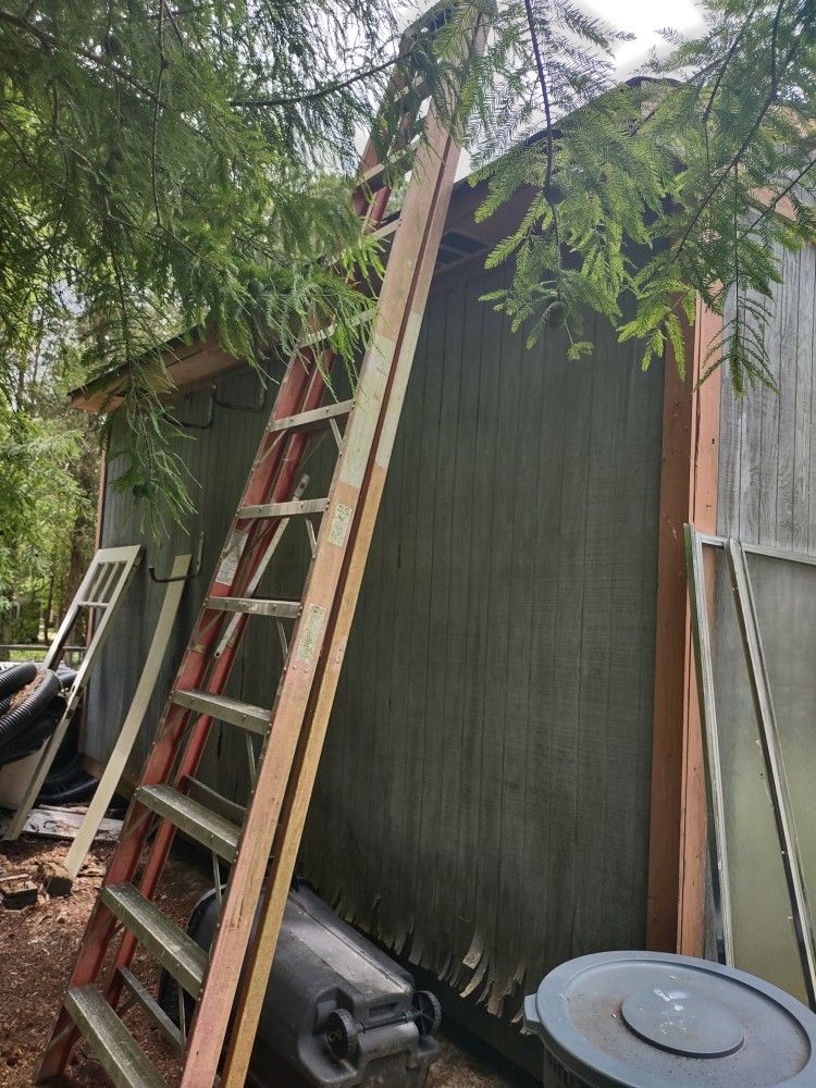 Ladders For Sale