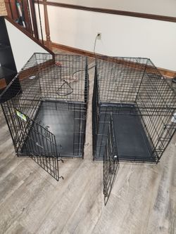 Dog Crates