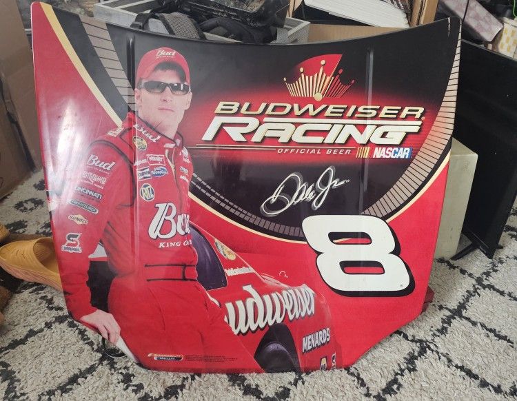 2005 Nascar Deal Earnhardt Jr Replica Hood