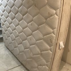 Free Queen Mattress-A Lot Of life left!