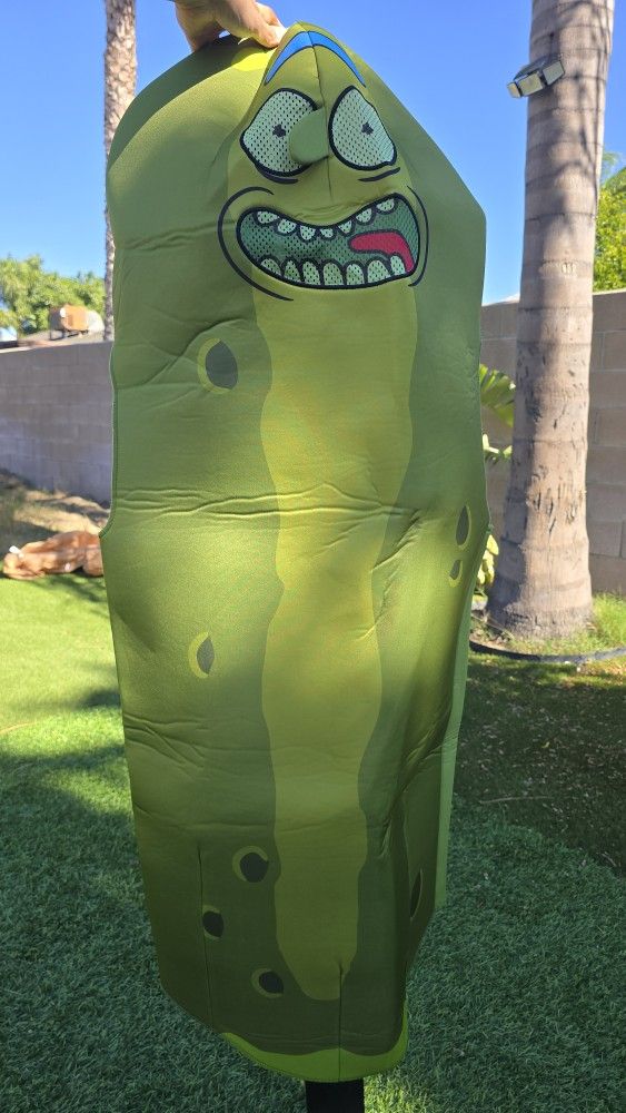 Preowned Pickle Rick Costume