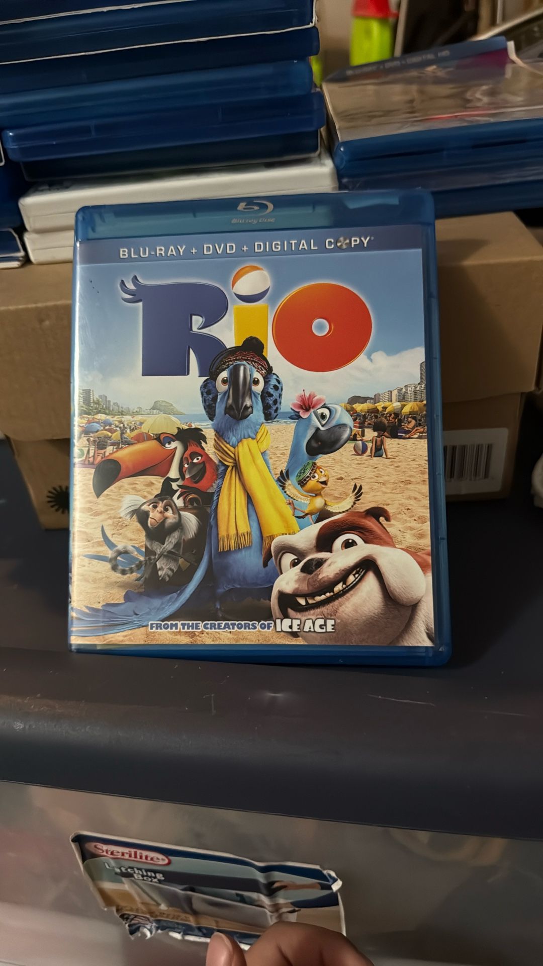 Rio