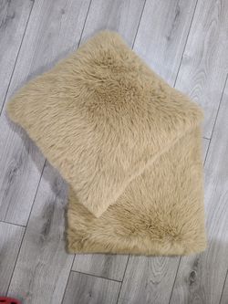 2 Decorative Pillows