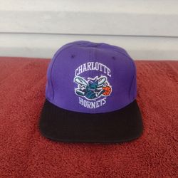 Charlotte Hornets Mitchell & Ness 2-Tone Classic Adjustable Snapback Hat - Purpl