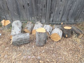 FREE WOOD