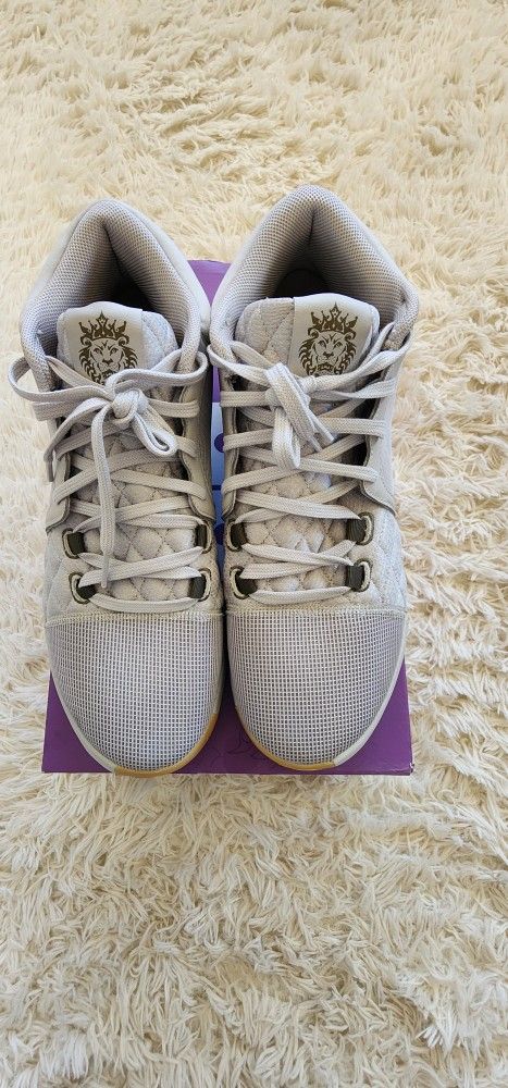LeBron Witness VIII