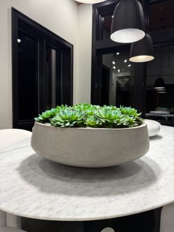 Restoration Hardware cement faux succulent bowl
