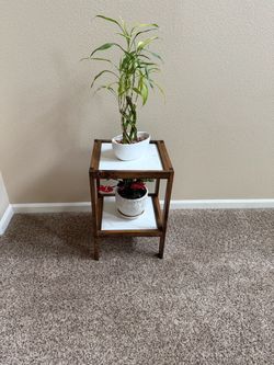Plant stand/table