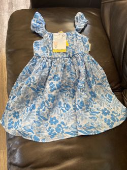 Bluey dress