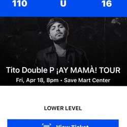 tito double p concert ticket 