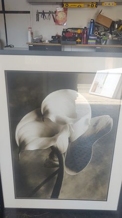 Black and white photo prints